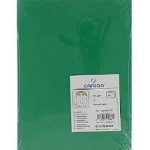 Cartulina Canson Din-A4 Verde Abeto