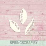 Chipboard Conjunto De Petalos