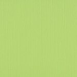 Papel 30X30 Texturizado Celery