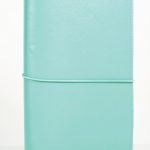 Travelers Notebook Midori Verde Mint