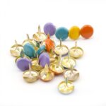 Brads Tropical Colores Surtidos