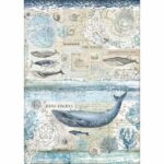 Papel De Arroz Ballena Arctic Antarctic Din-A3