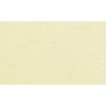 Cartulina Natura Beis 300 Gramos