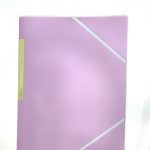 Carpeta Morada