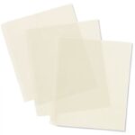 Big Shot Pro Mylar Shim  Standard