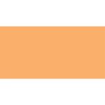 Promarker Brush Chabacano O538