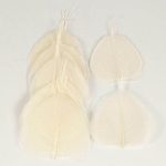 Hoja Skeleton Blanco Marfil 10/12 Cm