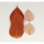 Hoja Skeleton Marrón 10/12Cm