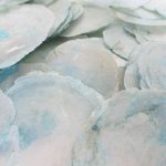 Capiz Shell Ø5/8Cm Color Turquesa