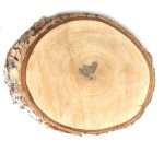 Madera Rodaja 21/26 Cm