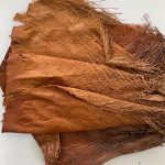 Hoja De Palmera Natural 4 Unidades Aprox