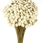 Flor Color Marfil Botao