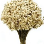 Flor Natural Color Marfil Ramillete