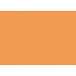 Cartulina Canson Din-A4 Cuero 32