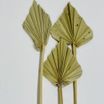 Flor De Palma Natural 3 Piezas