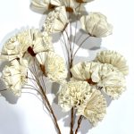 Clavel En Sola Natural 3 Piezas