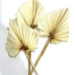 Hoja De Palmera Blanca 3 Piezas