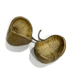 Cáscara Budha Natural 1 Oda