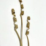 Palo Enrollado Cabe Step Mini 3 Pzas