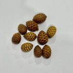 Semillas Frutos Naturales