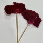 Seta Burdeos 1 Pieza