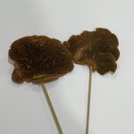 Seta Marrón Claro 1 Pieza