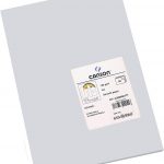 Cartulina Canson Din-A4 Gris Claro