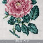 Kit De Punto De Cruz Floragenius Rosa Damascena Grandiflora