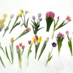 Pegatinas Acetato Flores