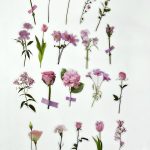 Pegatinas Acetato Flores