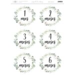 Papel De Arrroz Cumple Meses Din-A3 Del 1 Al 6