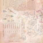 Papel De Arroz 54x33 Cm Botanical Book III