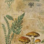 Papel de Arroz 57x33 Cm Botanical Book Mushrooms I