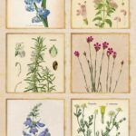 Papel De Arroz 54x33 Cm Frames IV