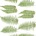 Papel De Arroz 54x33 Cm Pattern III