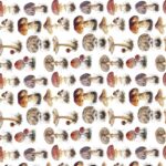 Papel De Arroz 54x33 Cm Pattern VIII