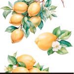 Decor transfer 20x30 Limones 3 hojas