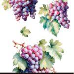 Decor transfer 20x30 Racimos De Uva 3 hojas