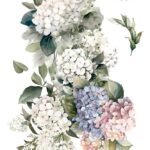 Decor transfer 60x90 Hortensias