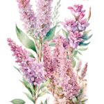 Decor transfer 60x90 Lilas