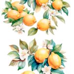 Decor transfer 60x90 Limones
