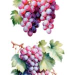 Decor transfer 60x90 Racimos Uvas