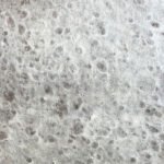 Papel Artesanal Lokta  NE042