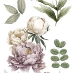 Decor transfer 15x30 Peonias 4 Hojas