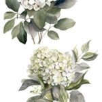 Decor transfer 15x30 Hortensias 4 Hojas