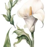 Decor transfer 15x30 Lirios 4 Hojas