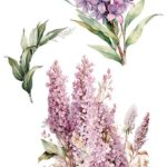 Decor transfer 15x30 Llilas 4 Hojas