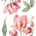 Decor transfer 15x30 Tulipanes 4 Hojas