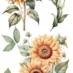 Decor transfer 15x30 Girasoles 4 Hojas