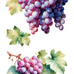 Decor transfer 15x30 Racimos De Uva 4 Hojas